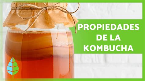 Beneficios de la Kombucha