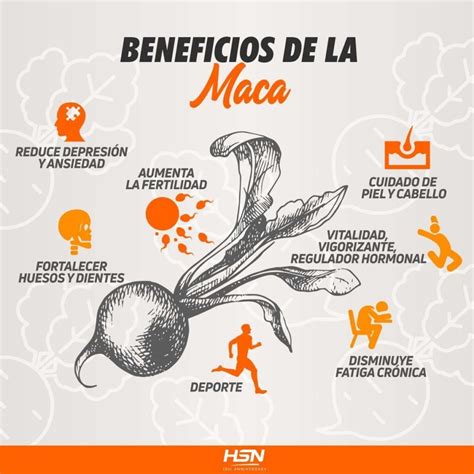 Beneficios de la Maca