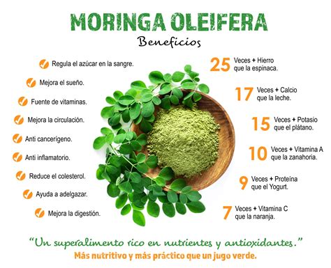 Beneficios de la Moringa