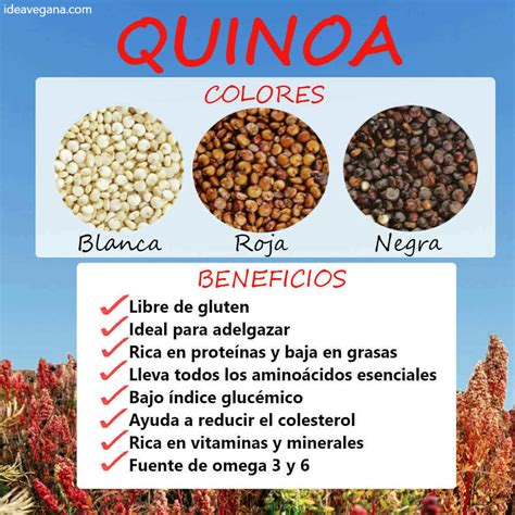 Beneficios de la Quinoa