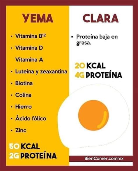 Beneficios de la Yema y la Clara