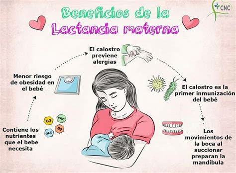 Beneficios de la lactancia