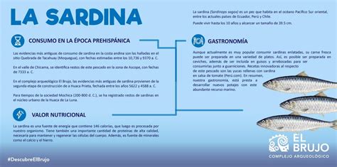 Beneficios de las Sardinas