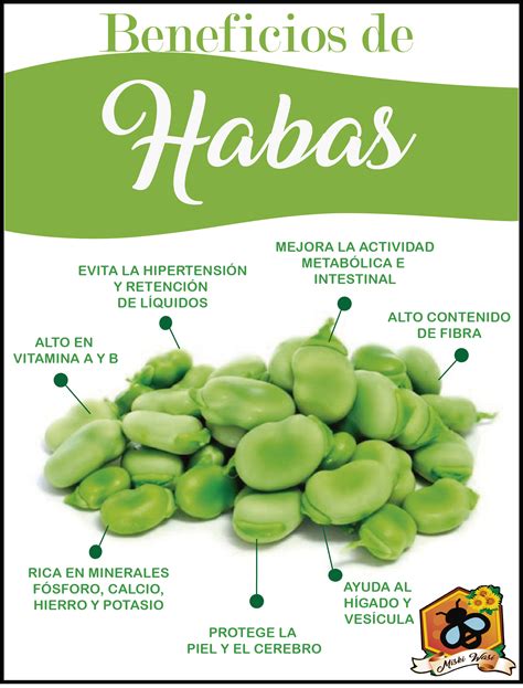 Beneficios de las habas