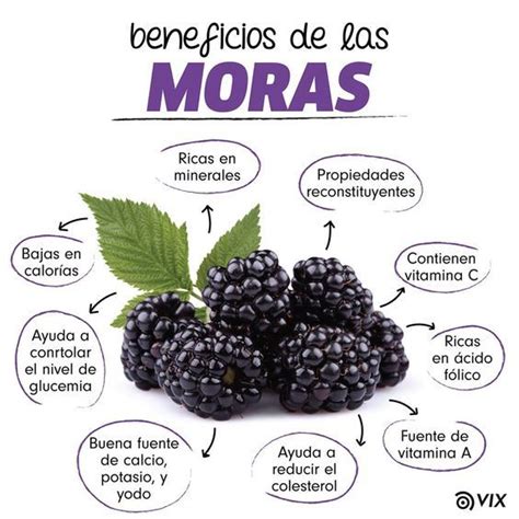 Beneficios de las moras