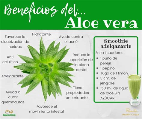 Beneficios del Aloe Vera