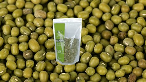 Beneficios del Frijol Mungo