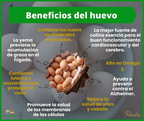 Beneficios del Huevo