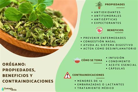 Beneficios del Orégano