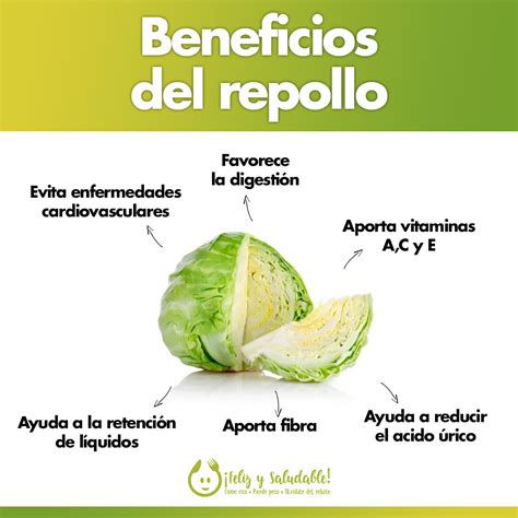 Beneficios del Repollo Blanco