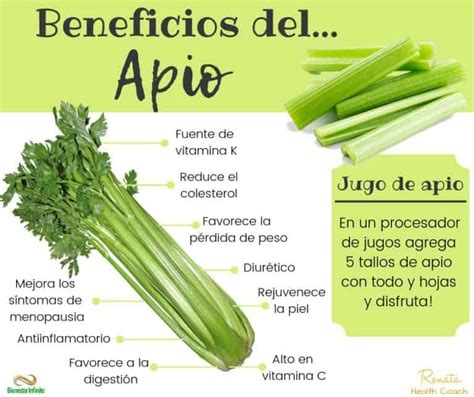 Beneficios del apio