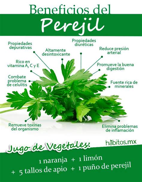 Beneficios del jugo de perejil