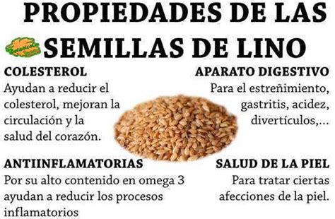 Beneficios del lino