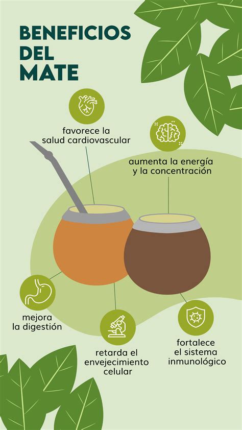 Beneficios del mate