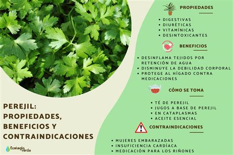 Beneficios del perejil
