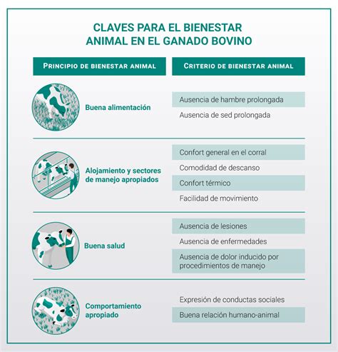 Bienestar Animal en Bovinos