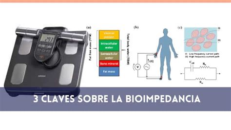 Bioimpedancia