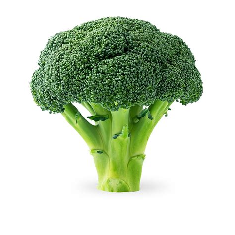 Brocoli