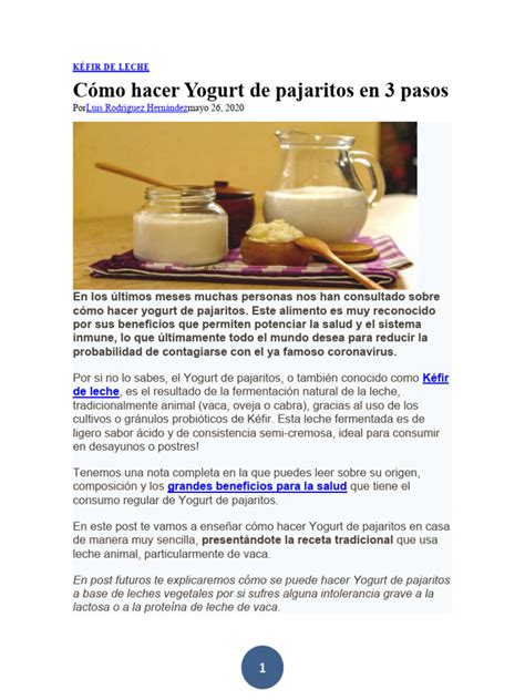 Cómo hacer yogurt de pajaritos casero