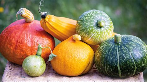 Calabaza