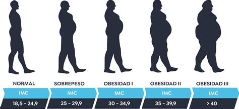 Calcio y Obesidad