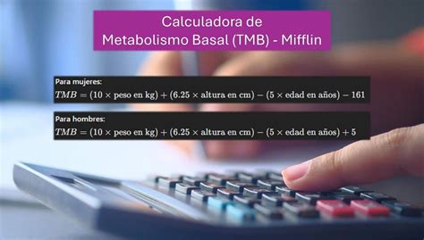 Calcula tu TMB