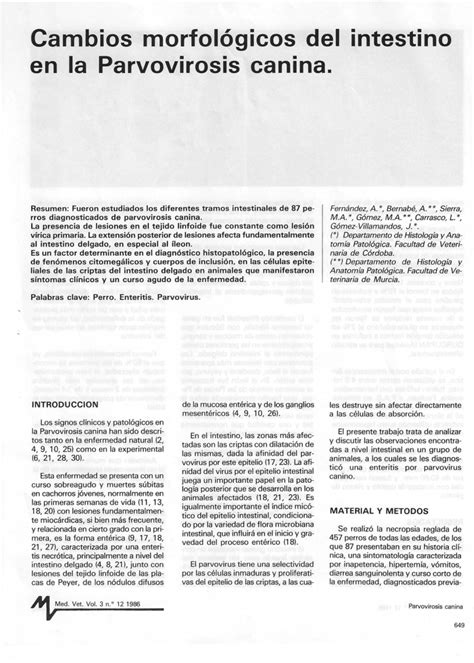 Cambios morfológicos del intestino asociados a SBMIE