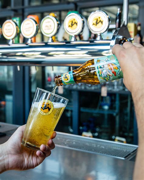 Cerveza KrossOut