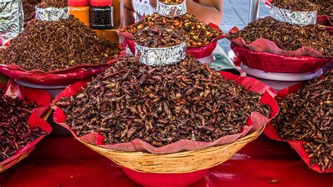Chapulines