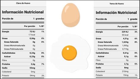 Clara de Huevo Valor Nutricional