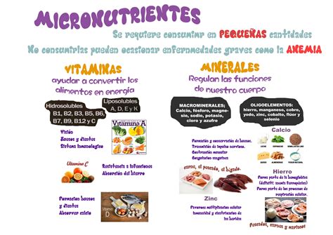 Clasificación de Micronutrientes