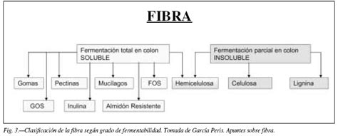 Clasificación de la fibra dietética