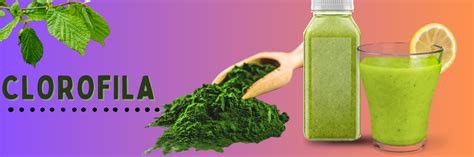Clorofila en alimentos verdes