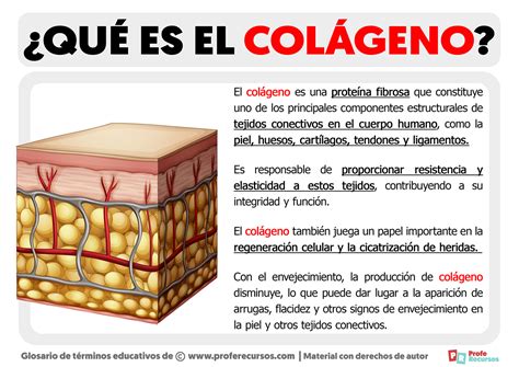 Colágeno en el cuerpo
