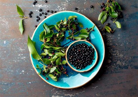 Colágeno y antioxidantes naturales del maqui