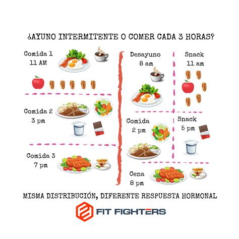 Comer Cada 4 Horas