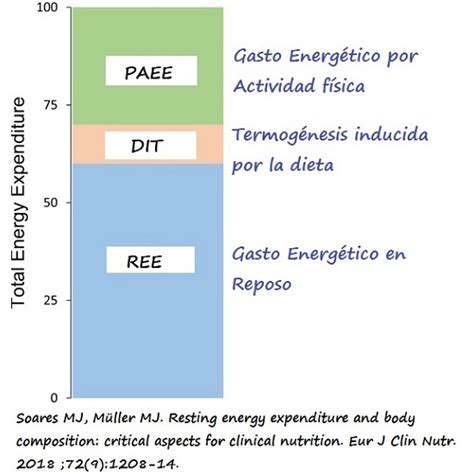 Comparación del gasto energético de reposo (GER)