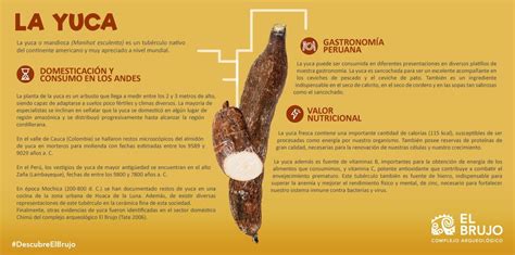 Componentes de la Yuca