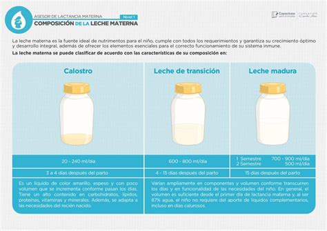 Composición de la leche madura