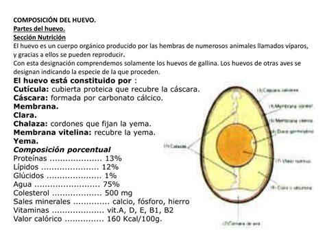 Composición del Huevo