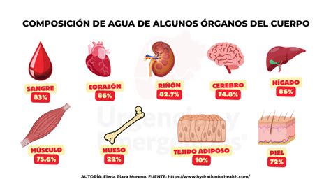 Composición del cuerpo humano y el agua