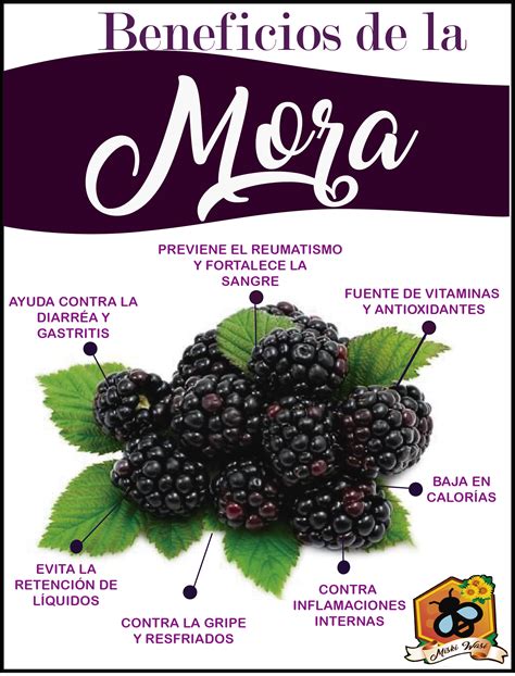 Composición nutricional de las moras