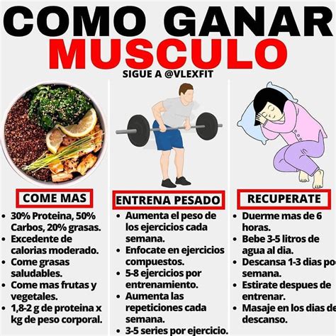 Consejos de nutricionista para ganar masa muscular