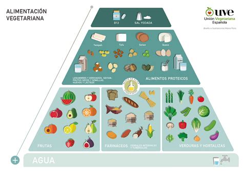 Consenso sobre alimentación vegetariana en el deporte