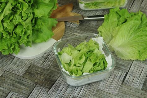 Conservar lechuga