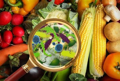 Contaminación Alimentaria