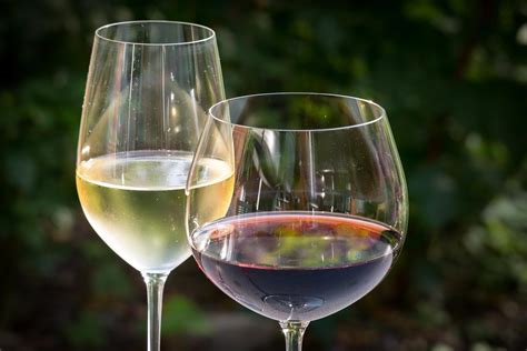 Copas de vino tinto y blanco