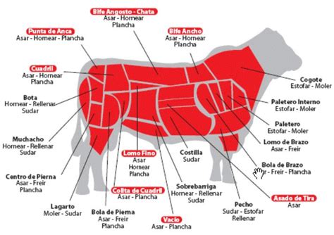 Cortes de carne de res