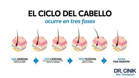 Crecimiento del cabello