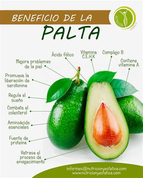 Cuesco de Palta y sus Beneficios